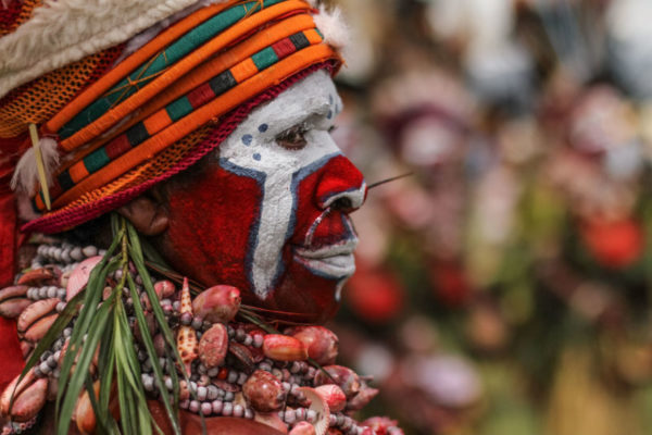 Goroka, 2014. Nose-piercings are common practice in the Western Highlands, with long sticks used as adornment in traditional attire