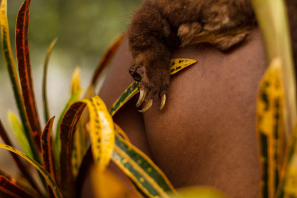 Port Moresby, 2013. Cultural attire is typically made from various animal bones and skins – in this case, the claw of a possum can be seen hanging from the decorative skin worn across the shoulders.