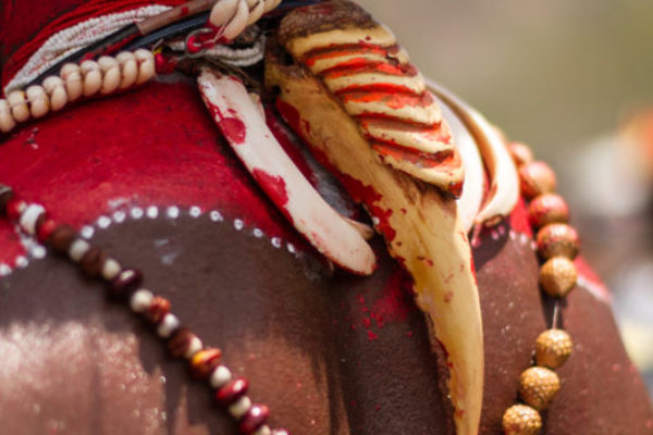 Port Moresby, 2013. The beak of the Papuan Hornbill, locally known as Kokomo, is a typical adornment of the Huli people.