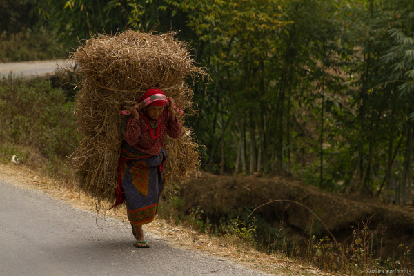 hiking through nepal-27