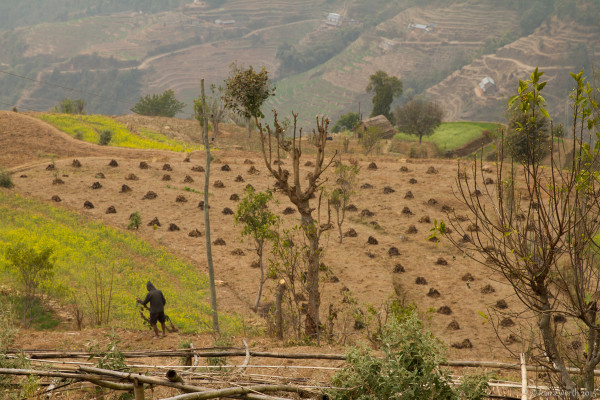 hiking through nepal-29