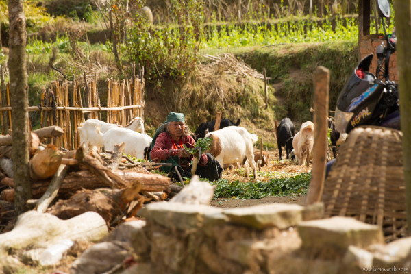 hiking through nepal-33