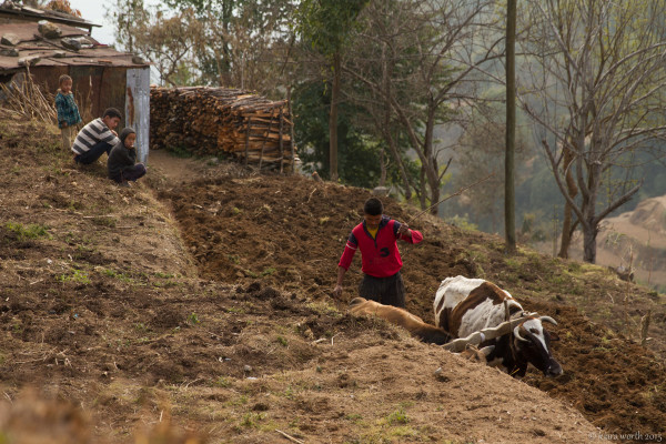 hiking through nepal-42