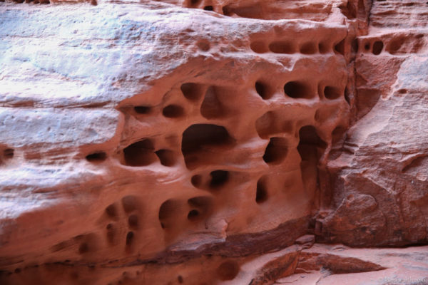 The sandstone walls are pocketed with what look like tiny desert-fairy homes carved into the mountain.