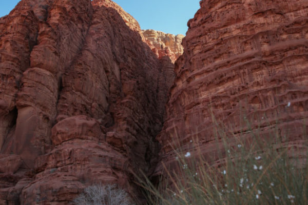 A web of trails lead in and out of the sandstone canyons, ancient pathways and resting places from centuries gone past.