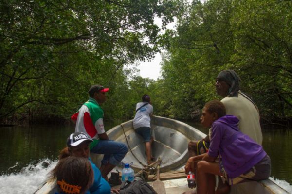 Heading through the mangroves.