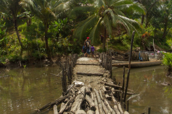 A walkway made of logs leads us to a pineapple farm hidden on the hillside.