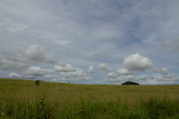 Open lands and blue skies on the road.