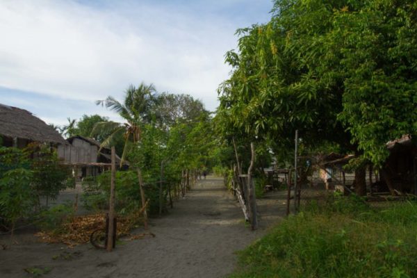 The sandy 'streets' of Iokea village.