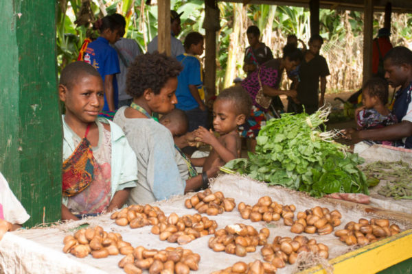 Selling nuts and green leaves at the local market is the primary income source for many people.