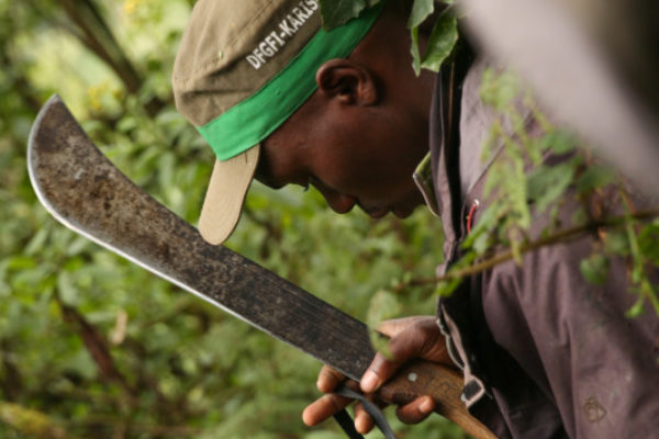 Our guide uses a machete to make a trail through the forest