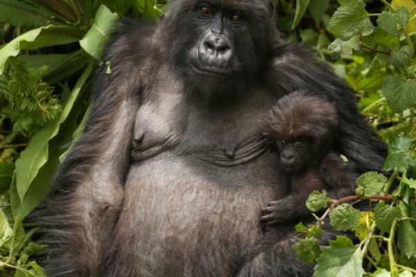 As if on cue, mother and daughter pose for their portrait