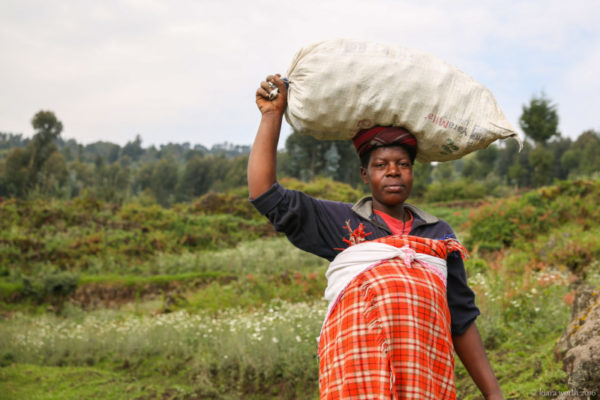 A woman carries a bag of freshly harvested potatoes down the mountain