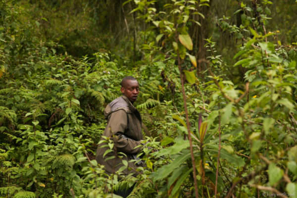 Our adventure into the rainforest begins