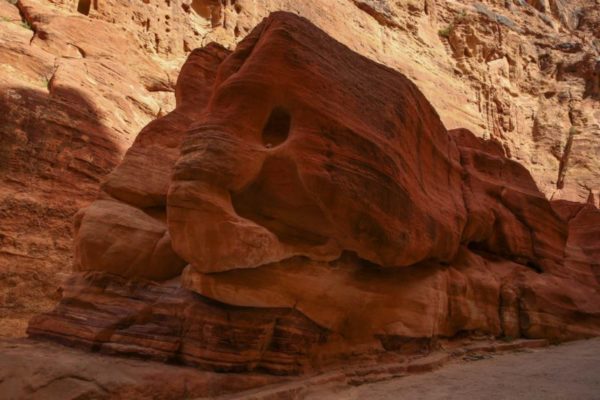 There are plenty of goats, sheep and camels to see in Jordan, and with a little bit of imagination, you might see an elephant too.