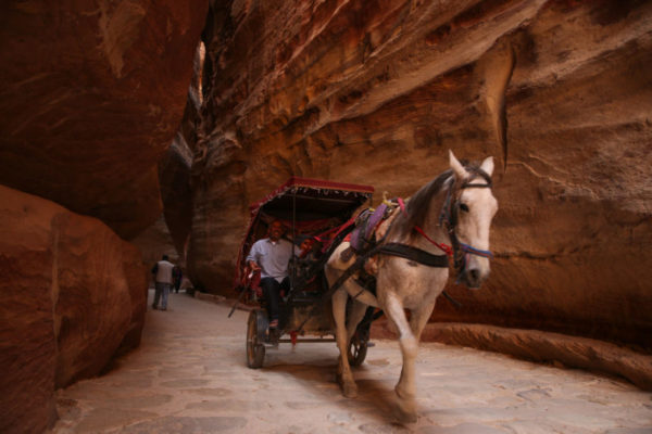 A horse pulls a carriage along the Petra Roman Road, weaving its way between the turns in the rock.