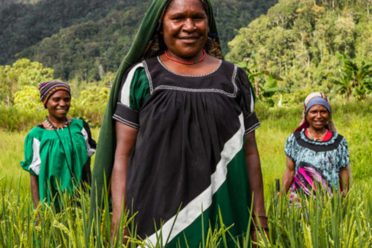 Homa-Paua, Southern Highlands, 2014. Three women stand in a flourishing rice field, one of the many agricultural initiatives aimed at improving production and increasing resilience of local farmers.