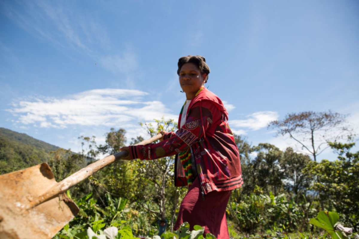 Hides, 2018. A woman shovels earth onto a newly planted garden. Maintaining subsistence gardens is a difficult and constant task, mostly done by women.