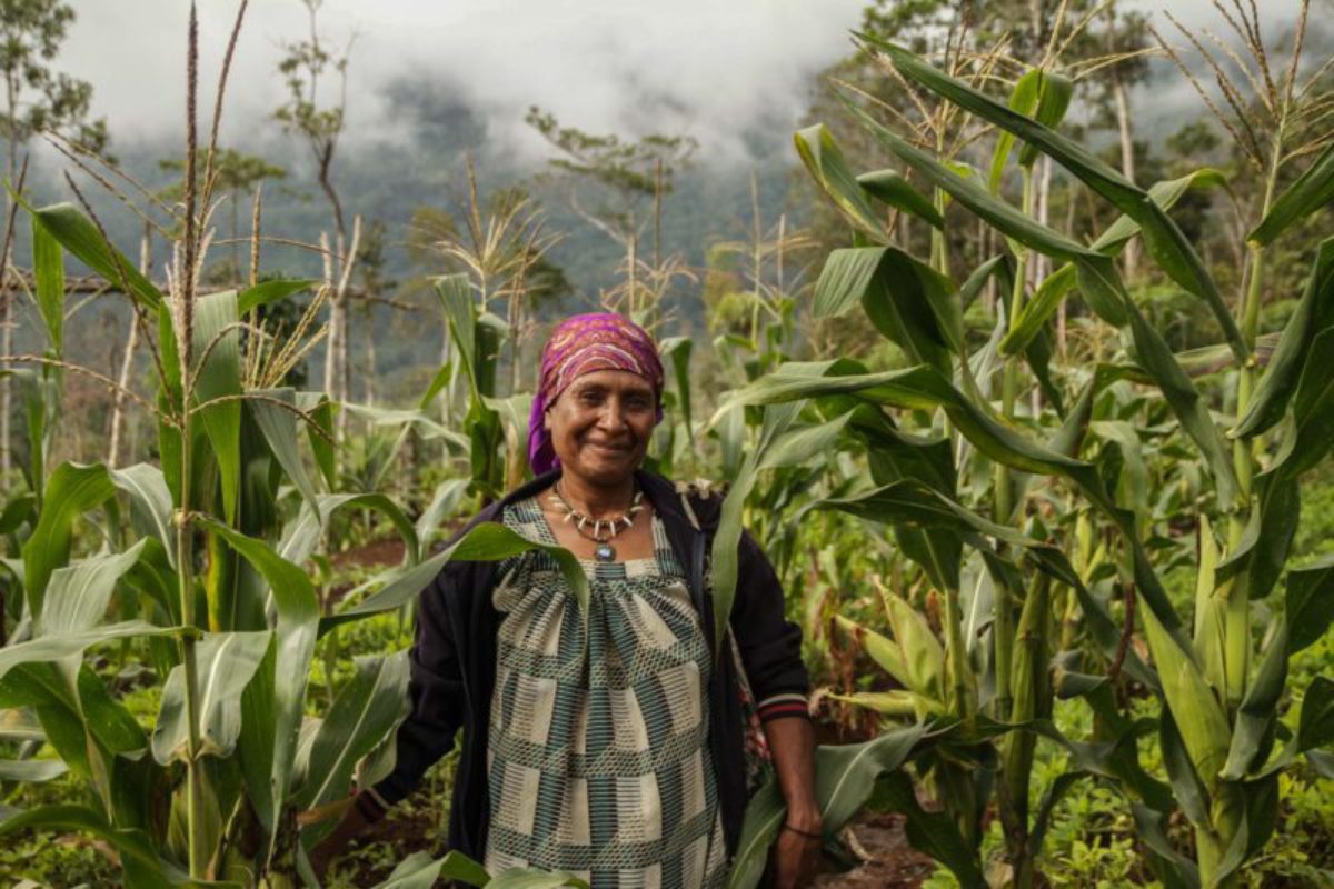 Hides, Hela Province, 2013. Cathy Uga, a local farmer and business woman, stands in a field of maize, one of the many crops she grows on her abundant farm.