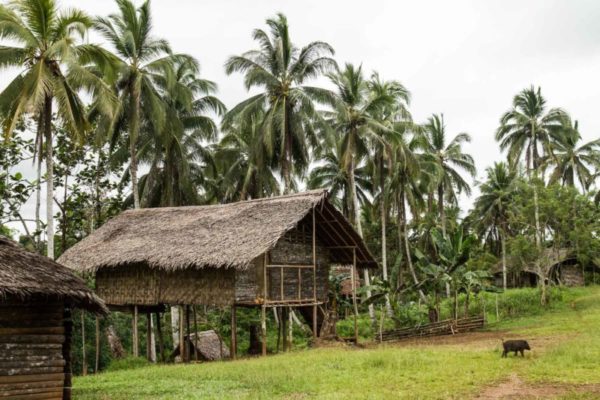 Sodiobi, Western Highlands, 2013