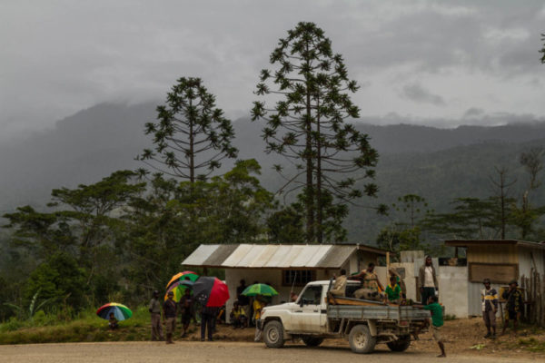 Hides, Hela Province, 2015.