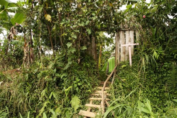 Hides, Hela Province, 2012. A small bridge leads to a doorway completely overgrown with plants, the entrance to a village homestead in the mountains.