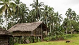 Places_Rural Life_Papua New Guinea-28